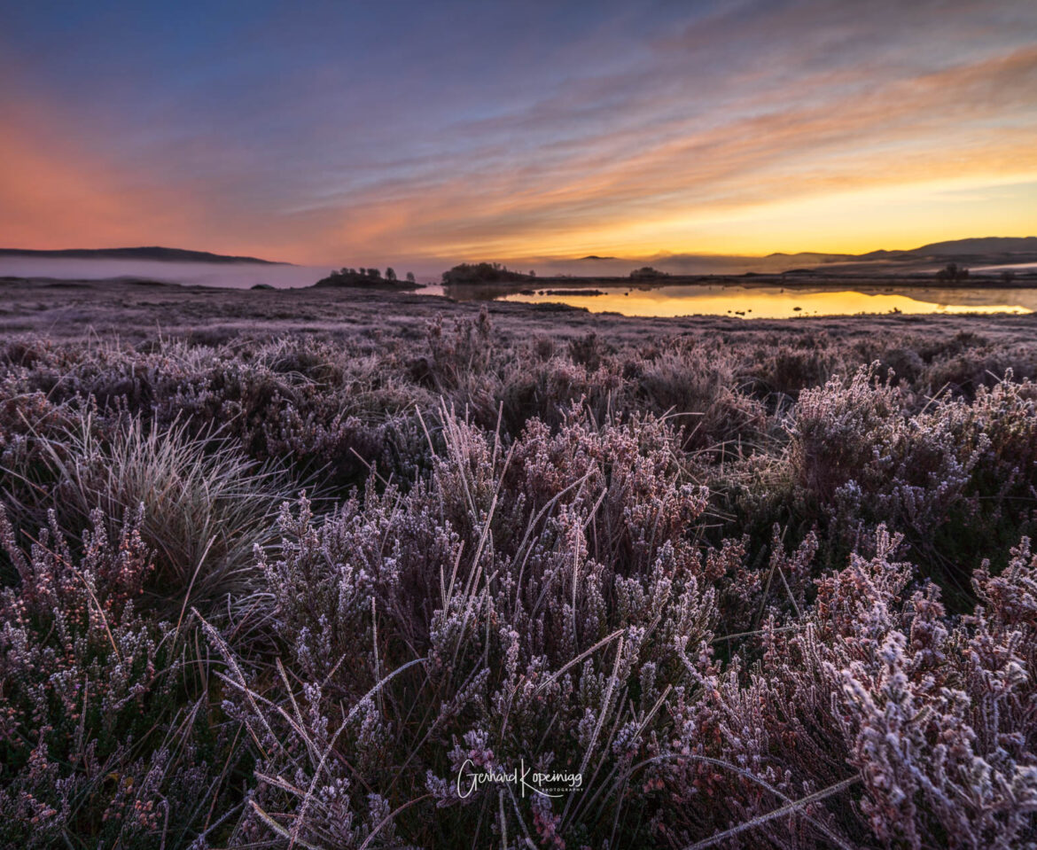 West Highlands 2019-Dreamy moores and stags in the rain